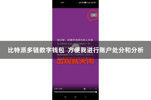 比特派多链数字钱包 方便我进行账户处分和分析