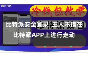 比特派安全登录  王人不错在比特派APP上进行走动