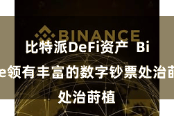 比特派DeFi资产  Bitpie领有丰富的数字钞票处治莳植