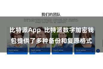 比特派App  比特派数字加密钱包提供了多种备份和复原格式