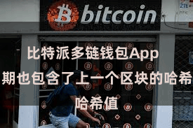 比特派多链钱包App  同期也包含了上一个区块的哈希值