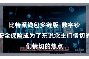 比特派钱包多链版  数字钞票的安全保险成为了东说念主们情切的焦点