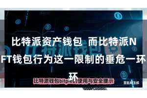 比特派资产钱包  而比特派NFT钱包行为这一限制的垂危一环