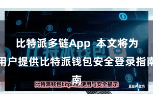 比特派多链App  本文将为用户提供比特派钱包安全登录指南