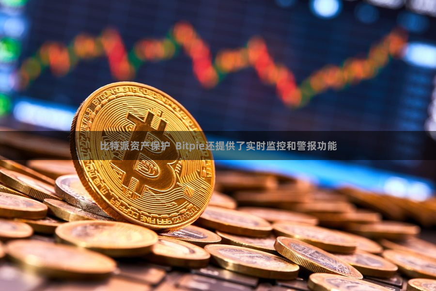 比特派资产保护  Bitpie还提供了实时监控和警报功能