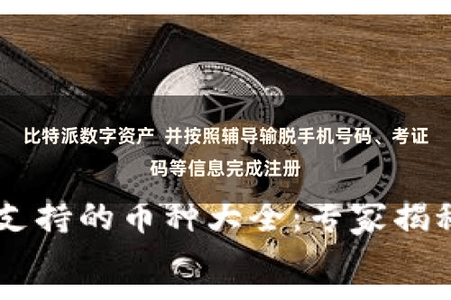 比特派数字资产  并按照辅导输脱手机号码、考证码等信息完成注