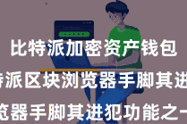 比特派加密资产钱包  而比特派区块浏览器手脚其进犯功能之一