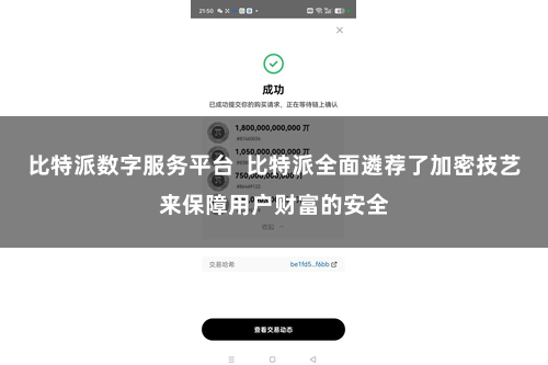 比特派数字服务平台  比特派全面遴荐了加密技艺来保障用户财富的安全