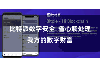 比特派数字安全  省心肠处理我方的数字财富