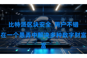 比特派区块安全  用户不错在一个愚弄中解决多种数字财富